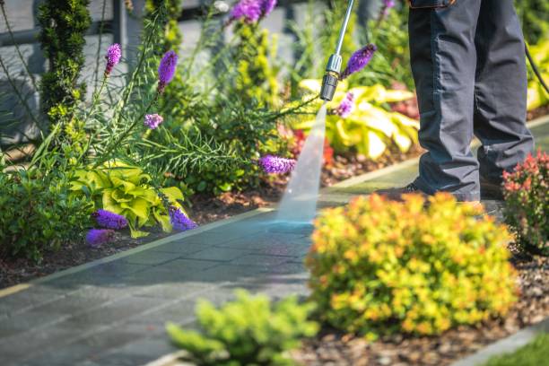 Reliable West Hazleton, PA Pressure Washing Services Solutions